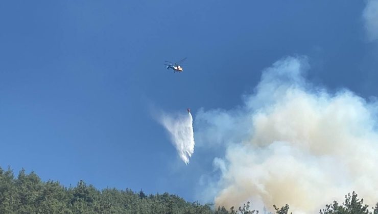Şakalaşırken ormanı yakan sanık 43 milyon liralık kamu zararını ödeyecek