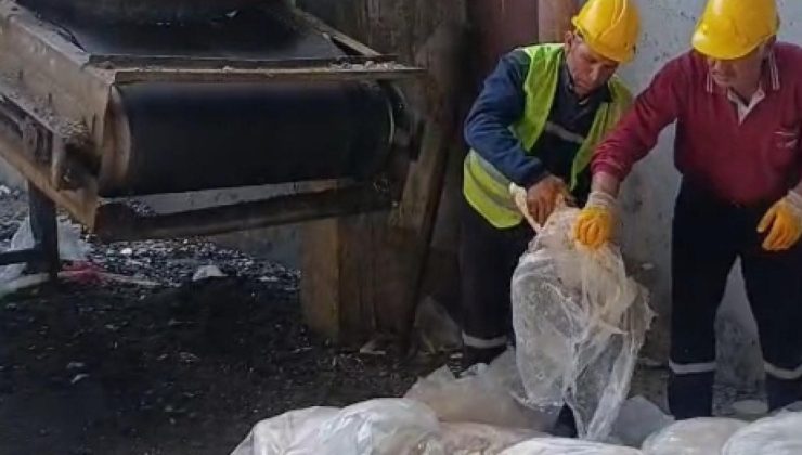 Tekirdağ’da 1200 kilo sağlıksız sakatat imha edildi