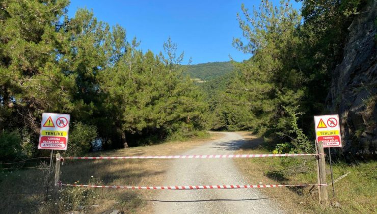 Ankara’da ormanlık alanlara girişler 30 Eylül’e kadar yasaklandı