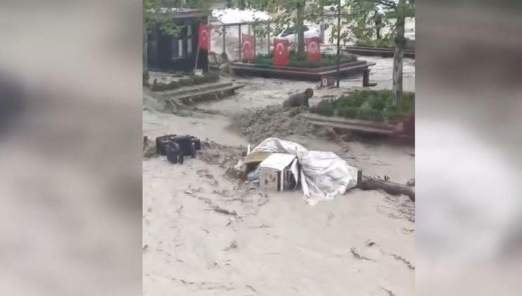 Sele kapılıp 100 metre sürüklendi: Ağaca sarılarak hayatta kaldım