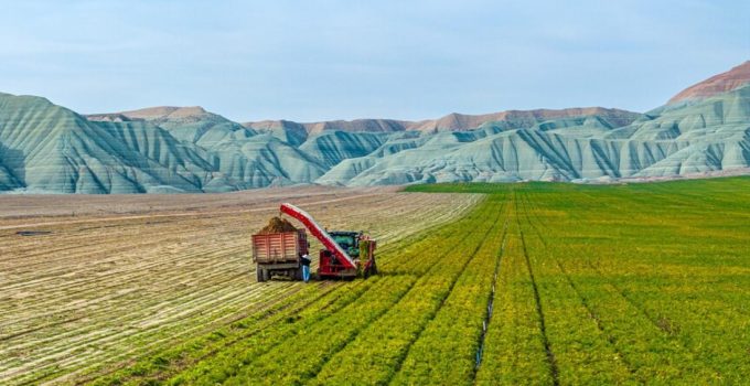 Ankara ve Aydın’da arazi toplulaştırma çalışmaları yapılacak