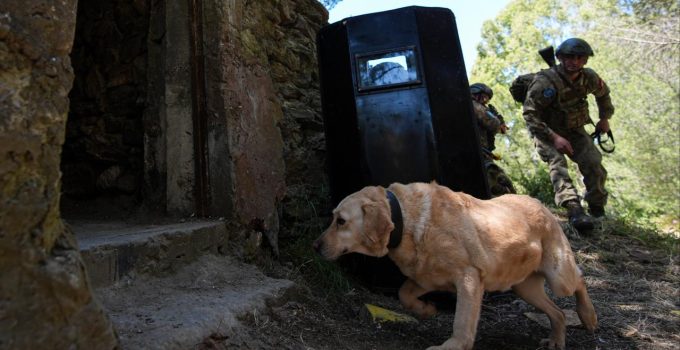 EFES-2026’da nefes kesen operasyon: Terör inleri temizlendi