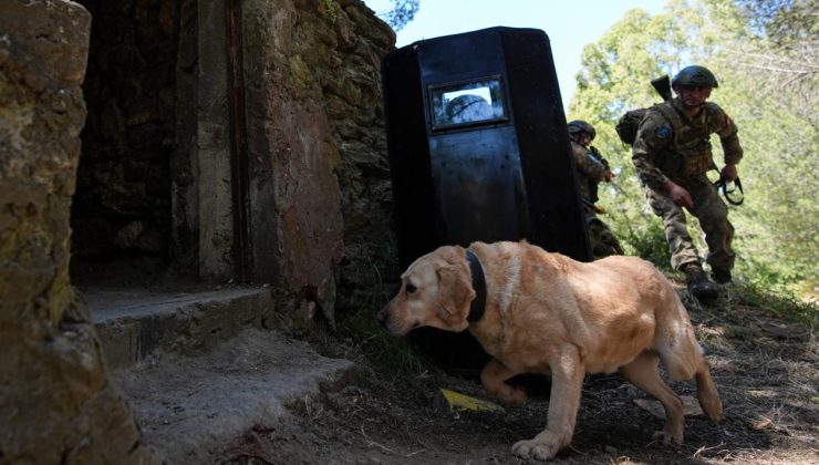EFES-2026’da nefes kesen operasyon: Terör inleri temizlendi