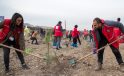 “Hastaya Kan, Ormana Can” projesiyle 4,7 milyon fidan toprakla buluştu