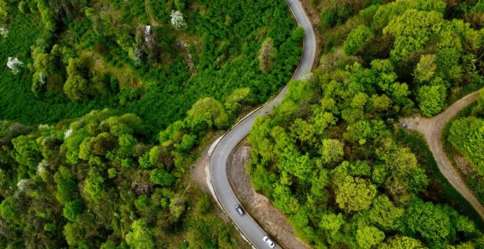 Kahramanmaraş’ta ormanlık alanlara girişler yasaklandı