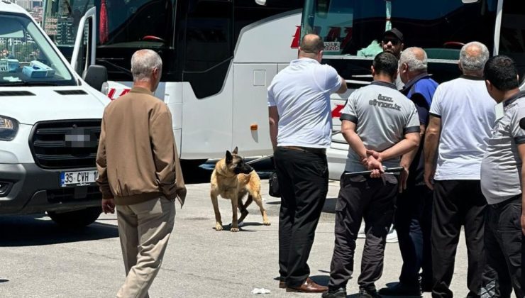 Elazığ’da köpeğin saldırdığı kadın yaralandı