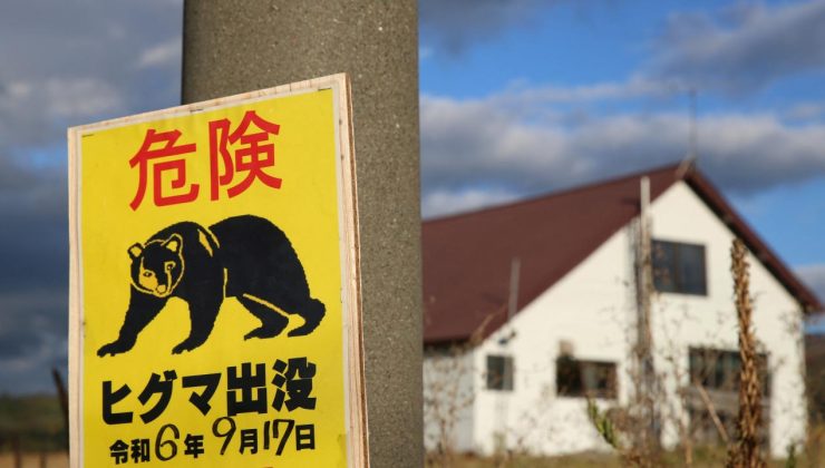 Japonya’da bir fabrikaya giren ayının “pencereyi açıp kaçtığı” düşünülüyor