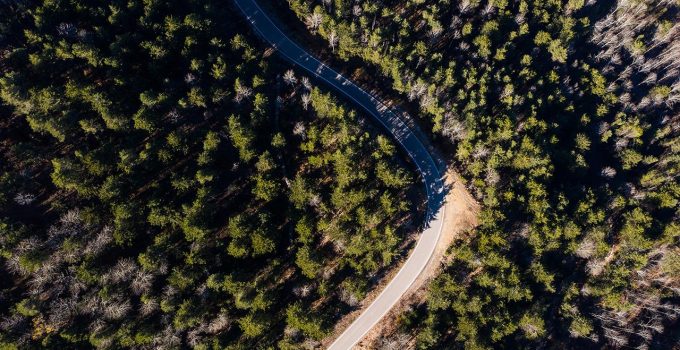 Adana’da ormanlık alanlara girişler yasaklandı