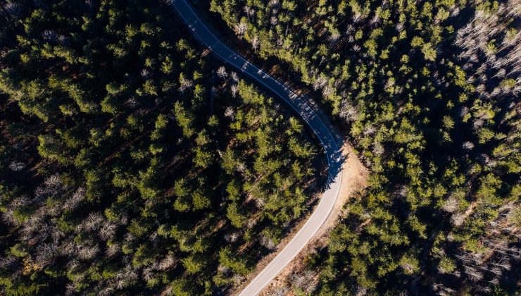 Adana’da ormanlık alanlara girişler yasaklandı