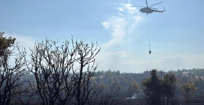 Antalya’da orman yangını sayısı yarı yarıya düştü