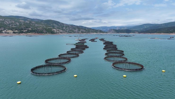 IPARD III kapsamında 95 projeye 1,2 milyar lira hibe