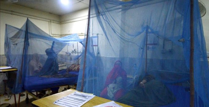 Bangladeş’te yıl başından bu yana dang humması nedeniyle ölenlerin sayısı 364’e çıktı