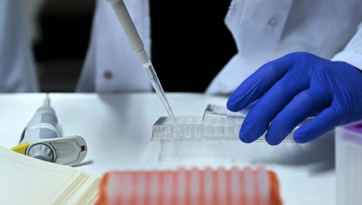 14 ilde “yasa dışı üreme hücresi ticareti” operasyonu: 36 gözaltı