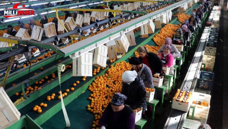 Türkiye ihracatında 9 ayda 211 milyar dolarlık rekor