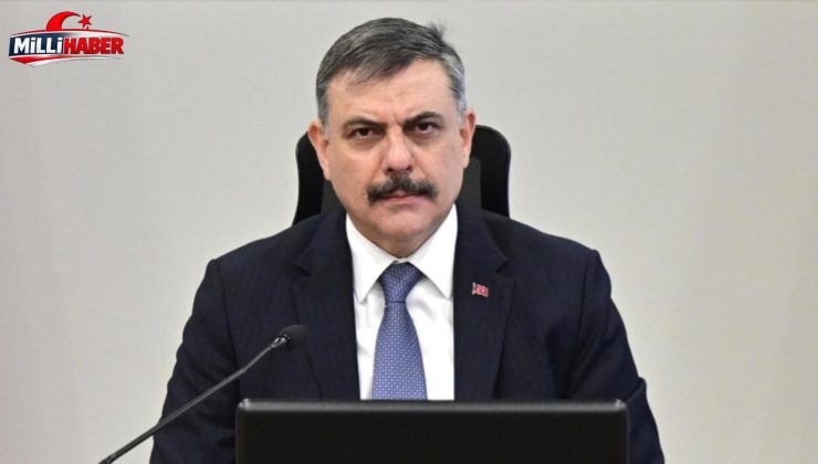 İçişleri Bakanı Çiftçi: Sahipsiz sokak hayvanlarının tamamını topladık