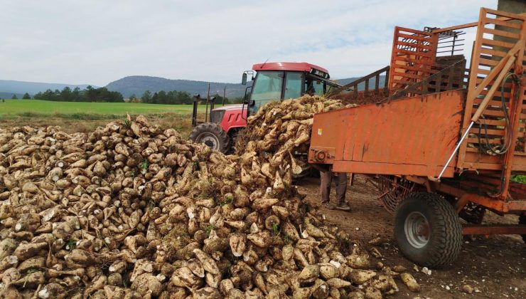 5’inci avans ödemeleri pancar çiftçilerinin hesaplarına yatırıldı