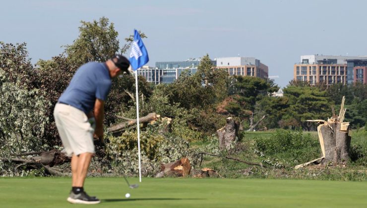 ABD’de yargıç, Trump yönetiminin Washington’daki golf sahasında yaptığı ağaç kesimini durdurdu